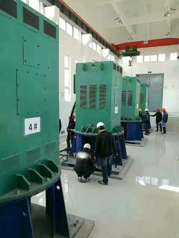 YR6303-10/900KW某污水处理厂使用我厂的立式高压电机安装现场